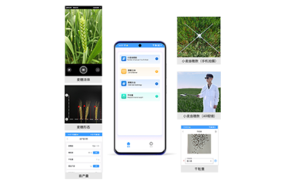 益阳市小麦亩穗数分析仪IN-XM02